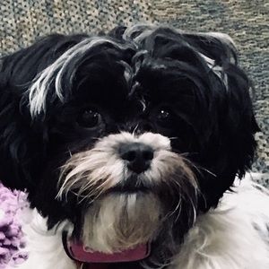 Meet your Posher, Mary claire